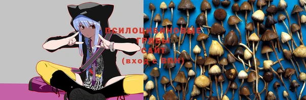дурь Балахна