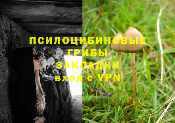 бутират Баксан