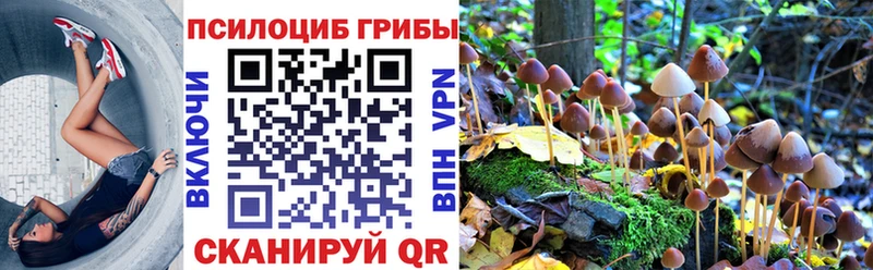 Псилоцибиновые грибы прущие грибы Крымск